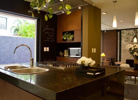 VISTA-COCINA